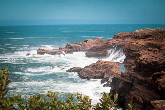 Tidepools along the Three Capes coast, Oregon