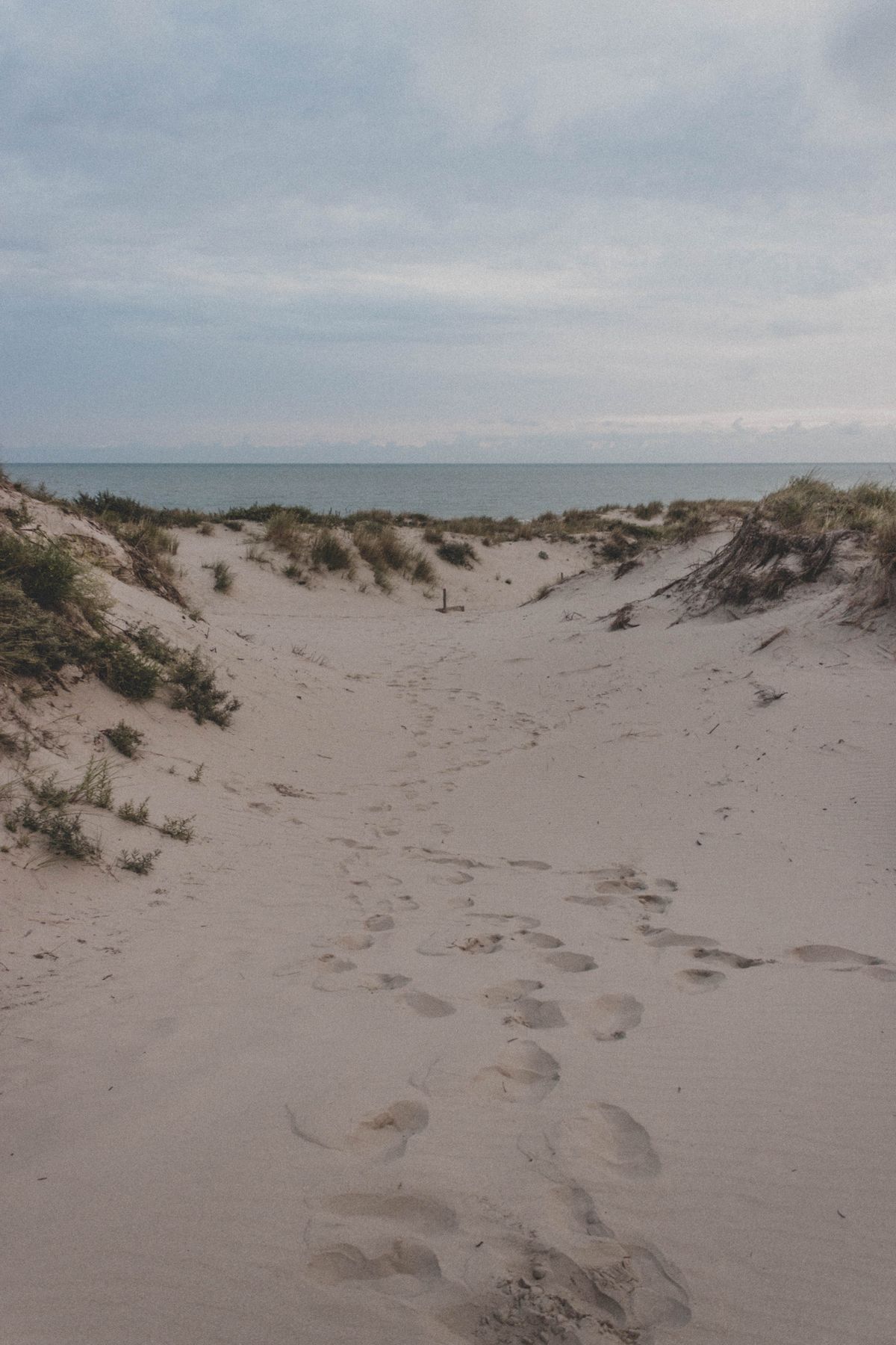 Empty sandy beach on the Österlen coast, Skåne — long, cool and almost entirely deserted even in summer