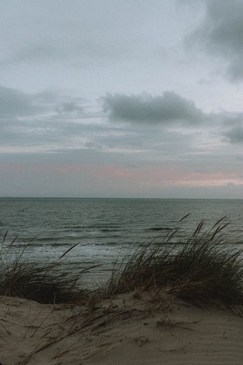 Foto profissional grátis de à beira-mar, água, ao ar livre