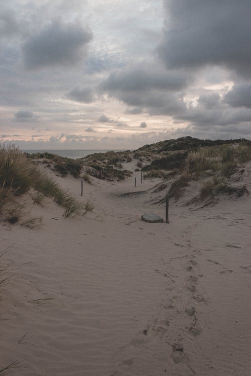 Бесплатное стоковое фото с берег, берег моря, величественный