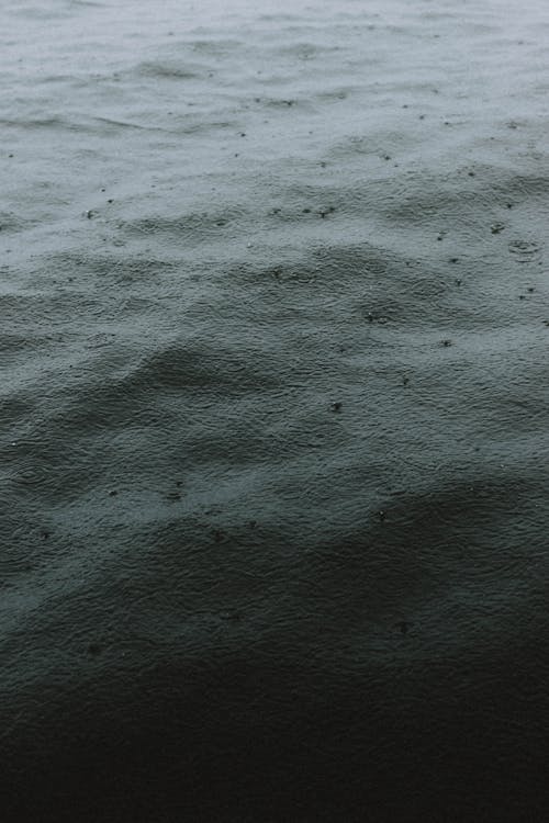 Free Closeup of dark rippled water surface with circles from raindrops in overcast weather Stock Photo