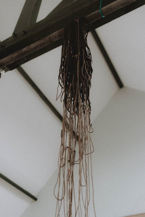 Free From below of netting hanging from wooden pole against white ceiling in light room in attic in storage during daytime Stock Photo