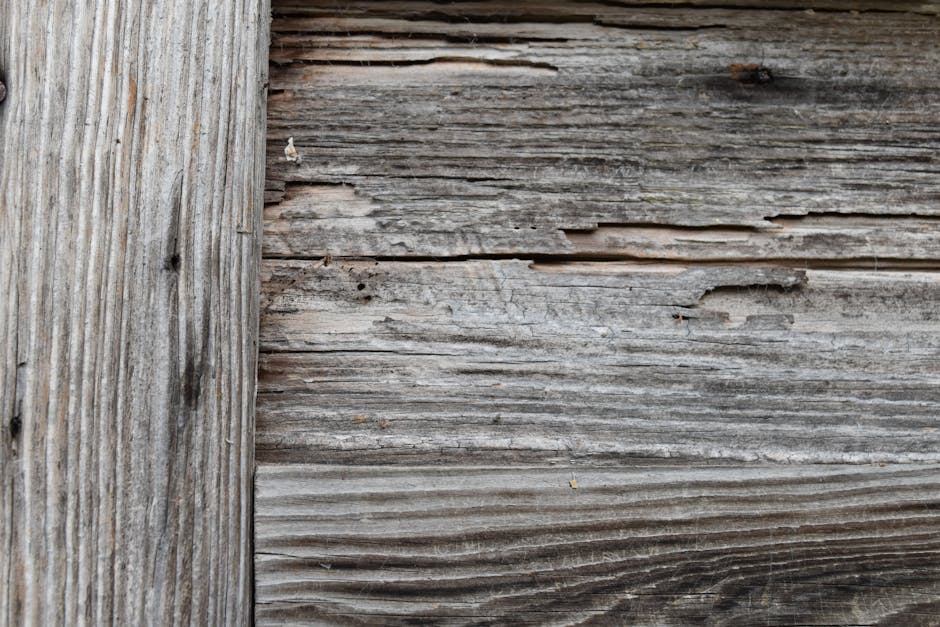Free stock photo of old wood