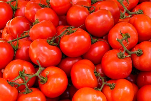 gratis Stapel Rode Tomaten Stockfoto