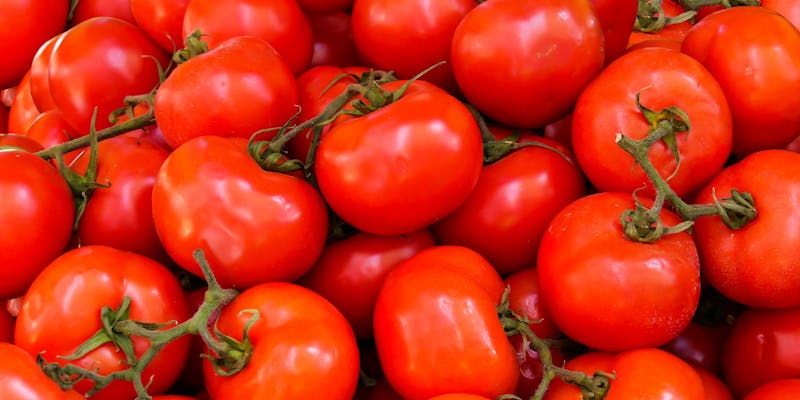 Er en tomat en frugt eller grøntsag?