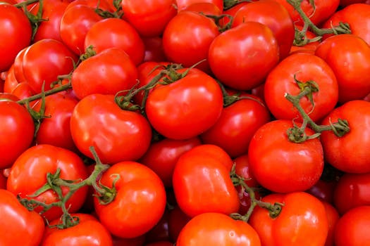 Pile of Red Tomatoes
