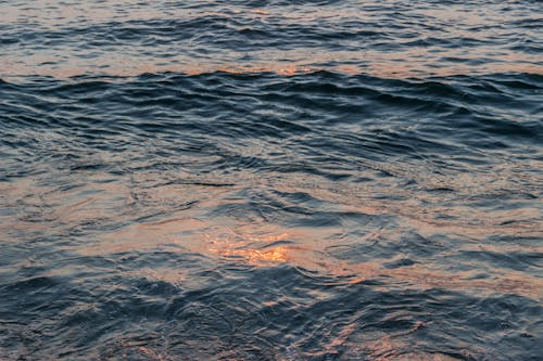 Immagine gratuita di corpo d'acqua, liquido, mare