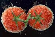 特写镜头中，水下新鲜的西红柿上覆盖着闪闪发光的水泡