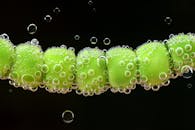 青豆的特写镜头中，气泡悬浮在水中，展现出其新鲜度和质地