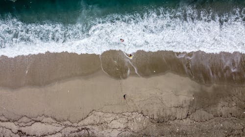 Free Aerial Photography of People on Beach Stock Photo