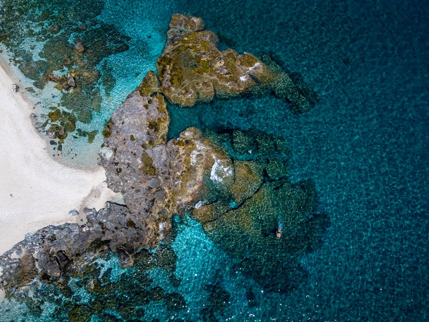 Aerial Shot of a Rocky Shore