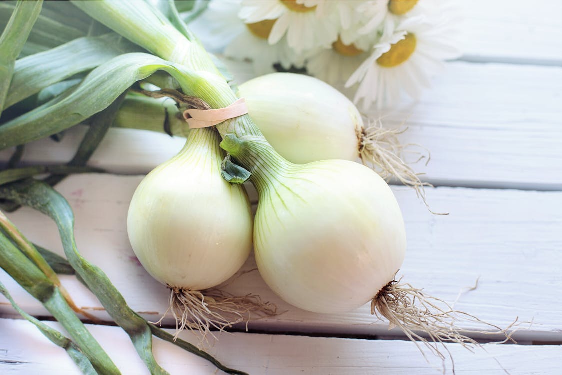 Free White Onions Stock Photo