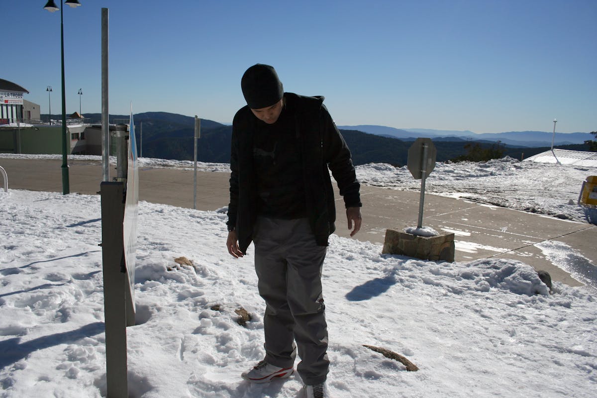 Cooked grains in a saucepan being fluffed with a fork