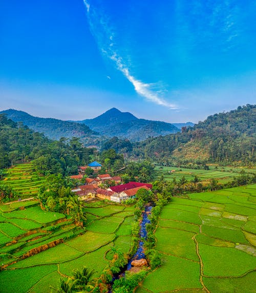 Green Grass Field Under Blue Sky