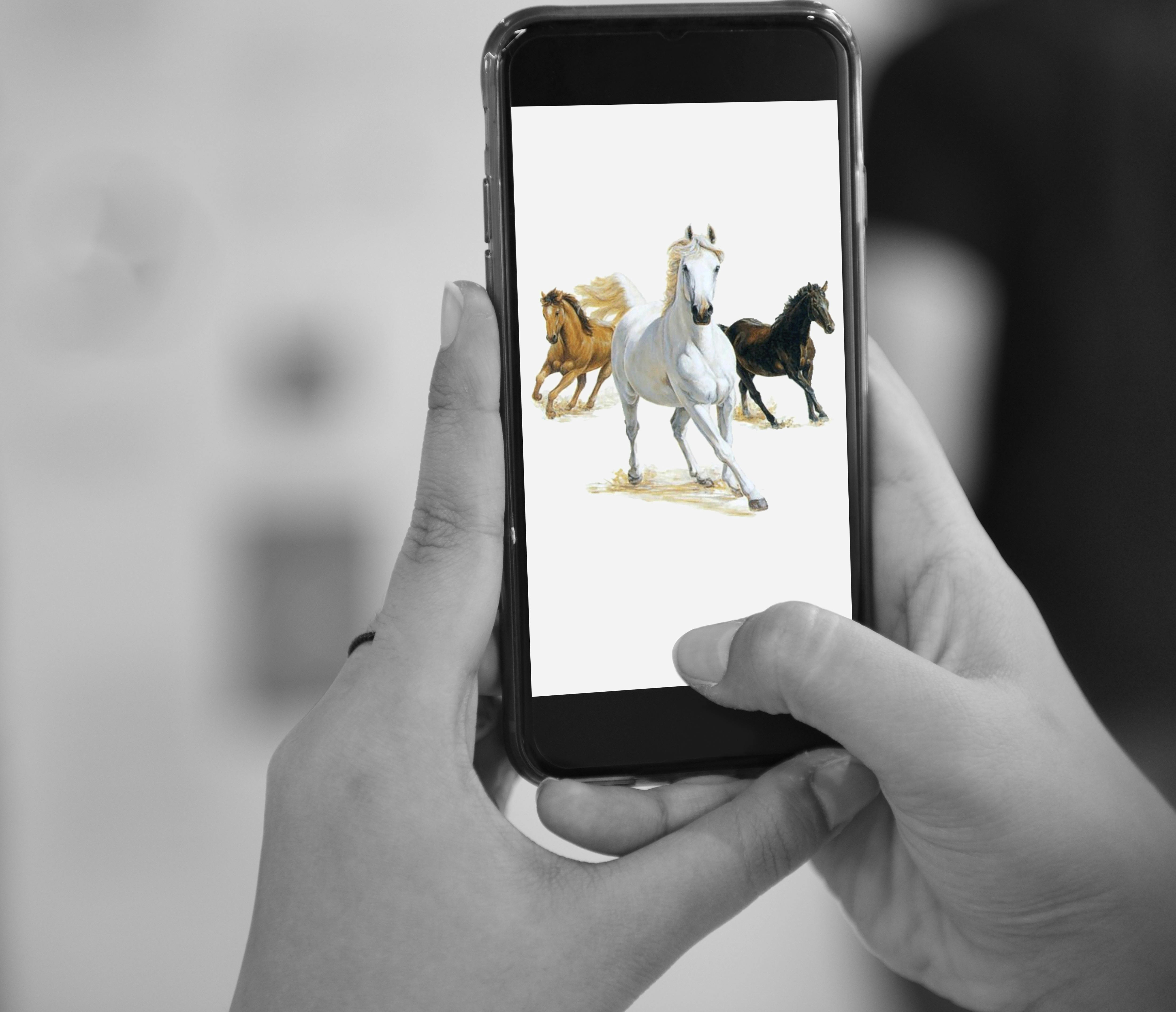 Pixivの履歴5種類の確認方法 プレミアム登録で追加される機能2つ Work Success Pixivの履歴5種類の確認方法 プレミアム登録で追加される機能2つ Work Success
