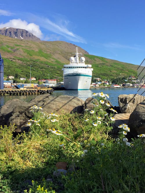 Free stock photo of auf see, berge, eskifjörður