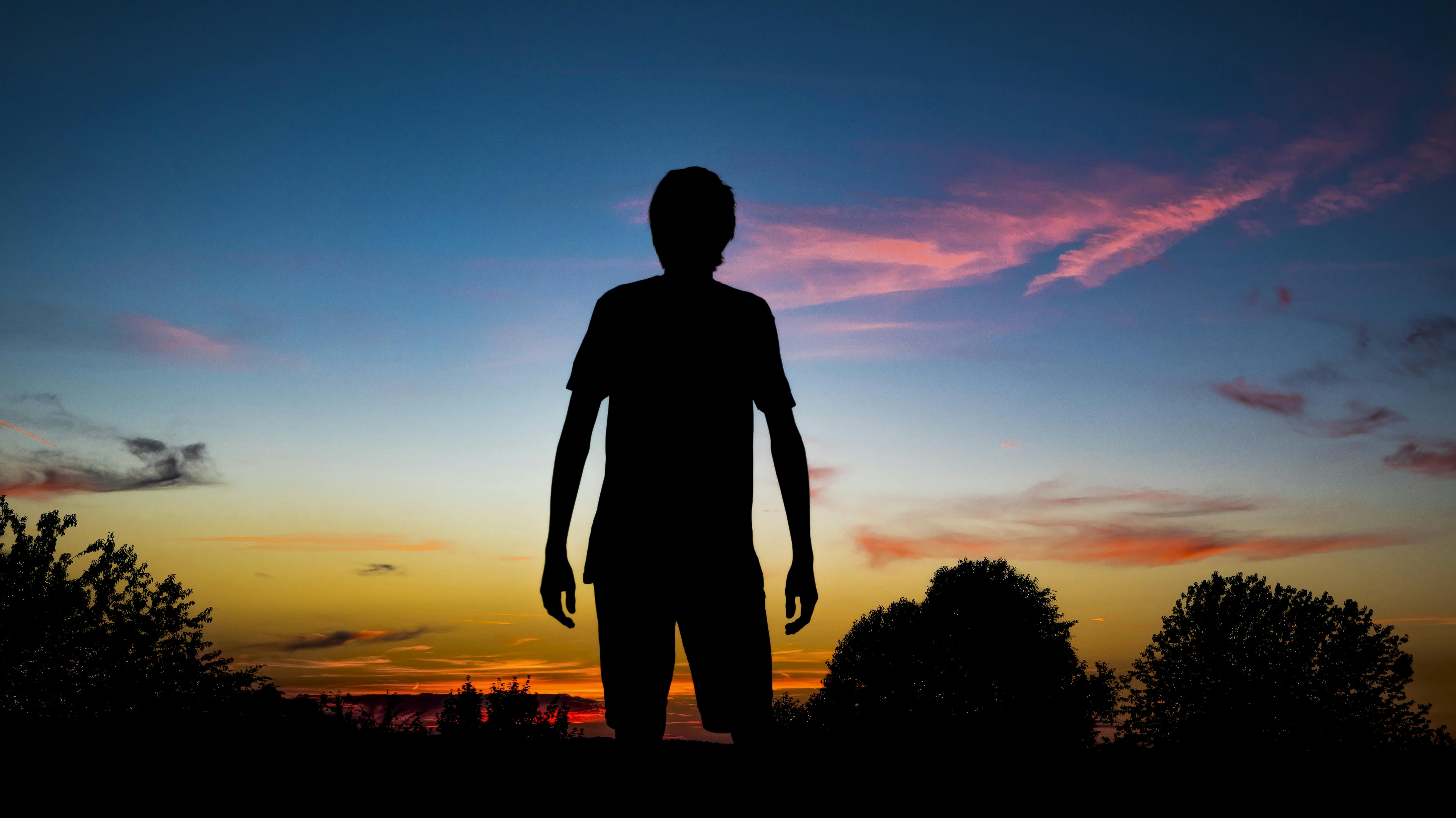 Free stock photo of abendstimmung, alone, back light