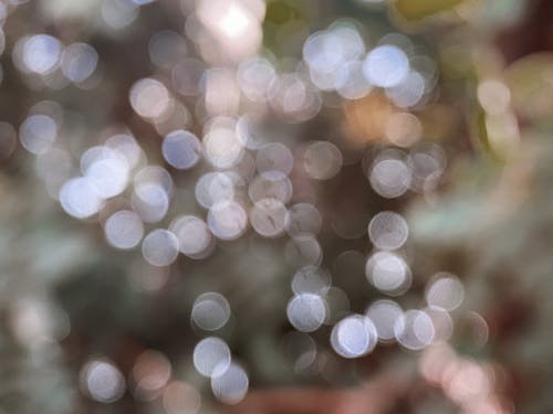 Free stock photo of abstract, beautiful, blur