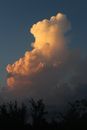 Majestic clouds over dark forest trees