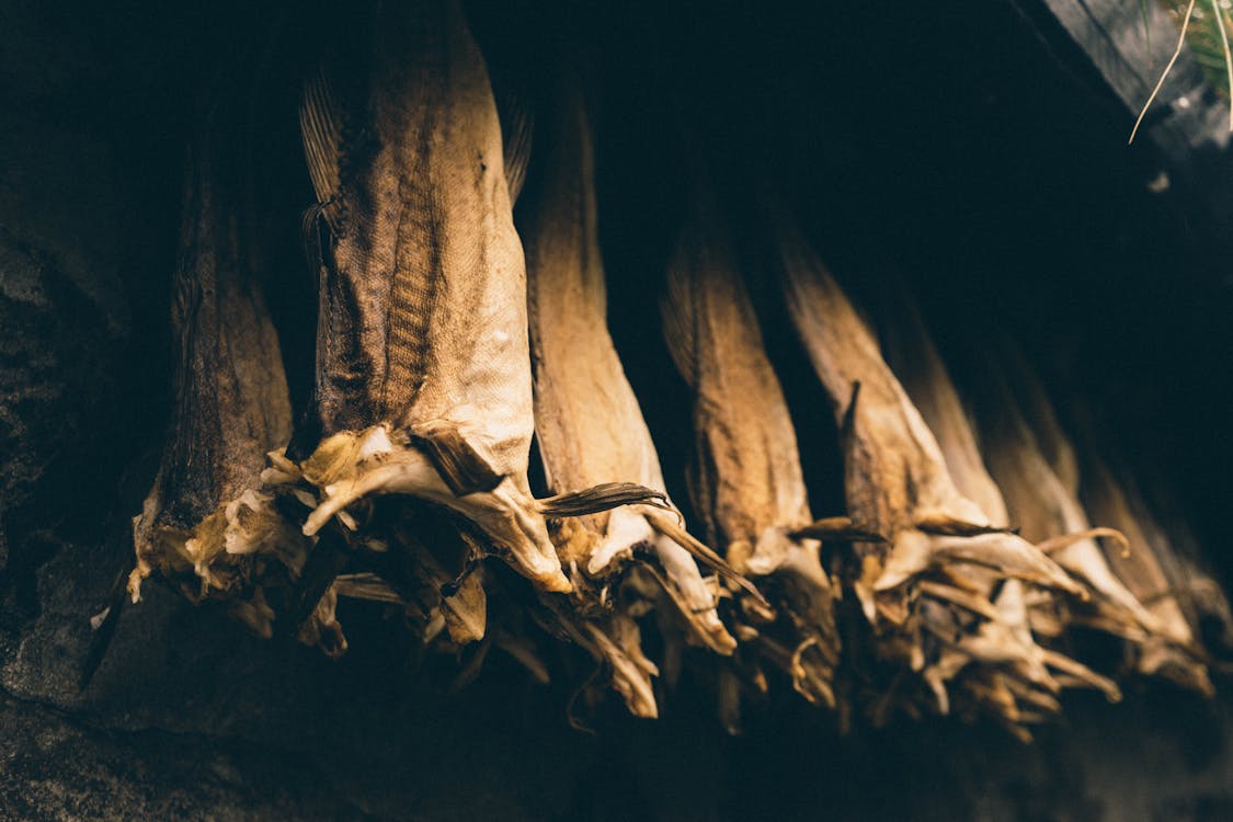 Brown Wood Log in Black Background