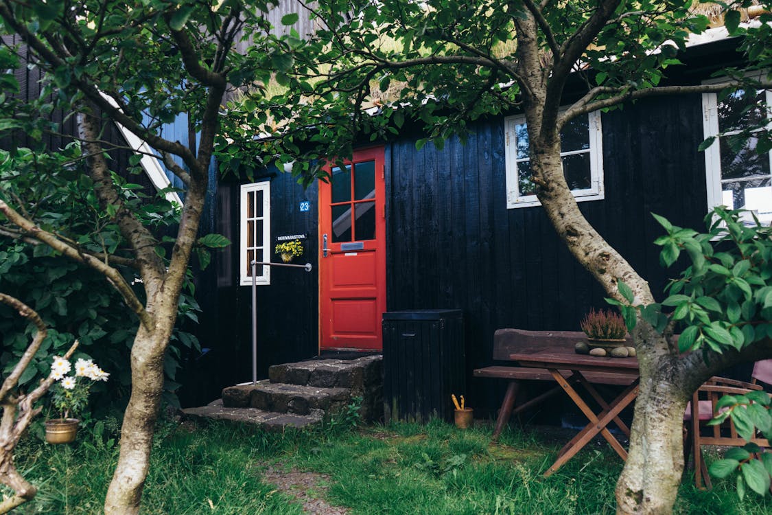 Foto d'estoc gratuïta de arbres, casa de fusta, entrada