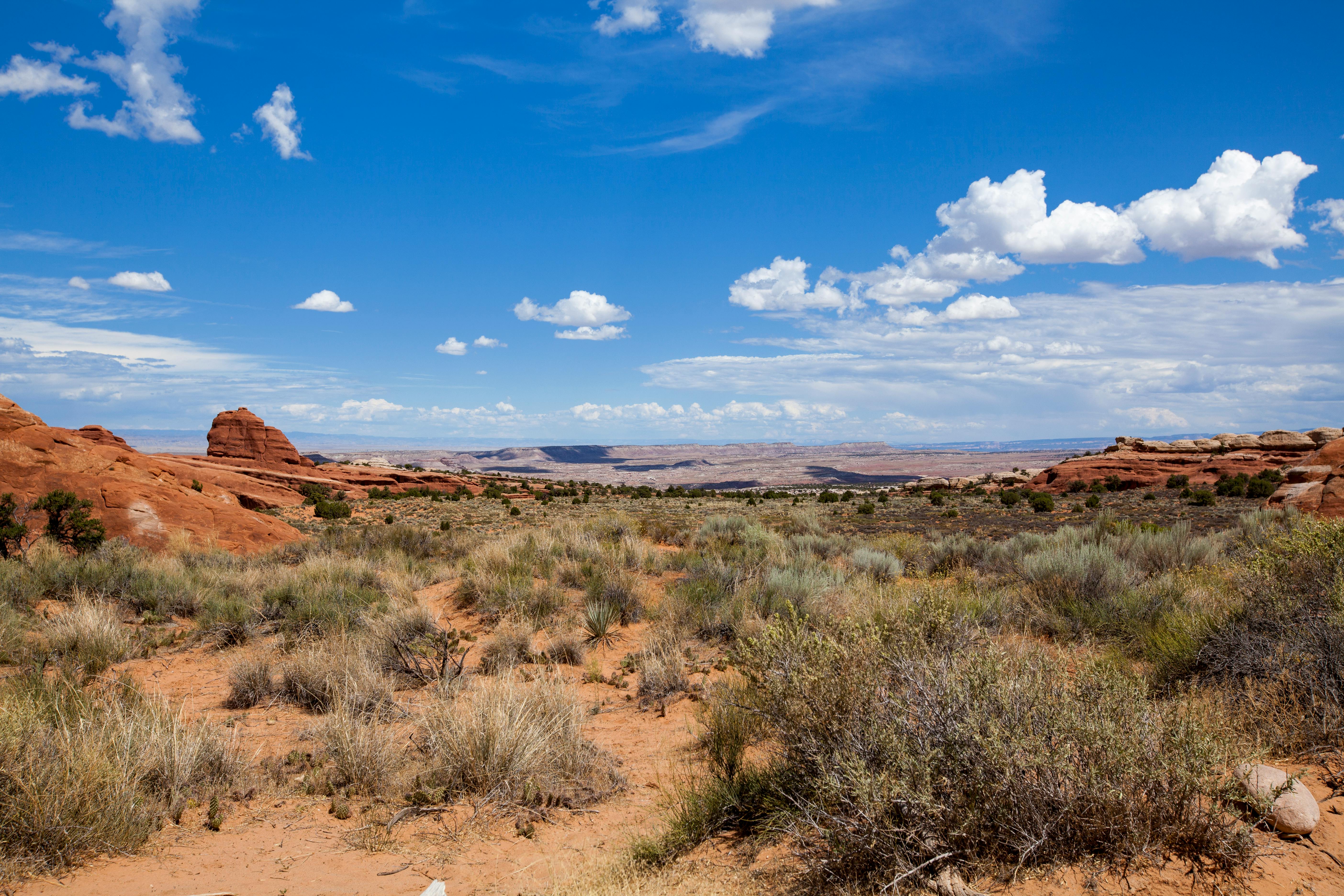 desert landscape under blue skies and white clouds