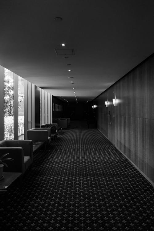 ホテルブリルハンテ, 地毯, 對比 的 免費圖庫相片