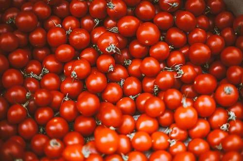 Close Up Photo of Red Tomatoes 