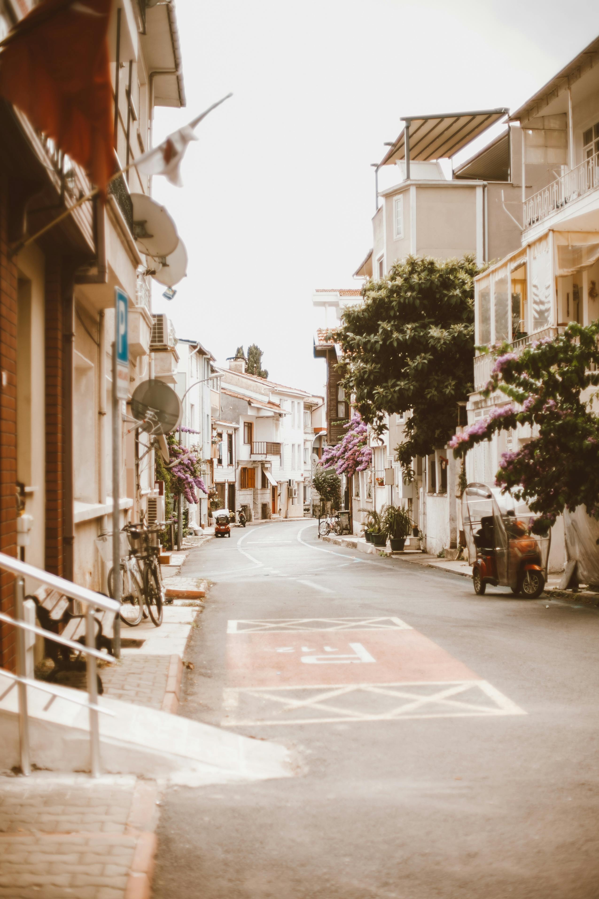 一条地中海街道风景如画，两旁排列着盛开的鲜花和古色古香的房屋