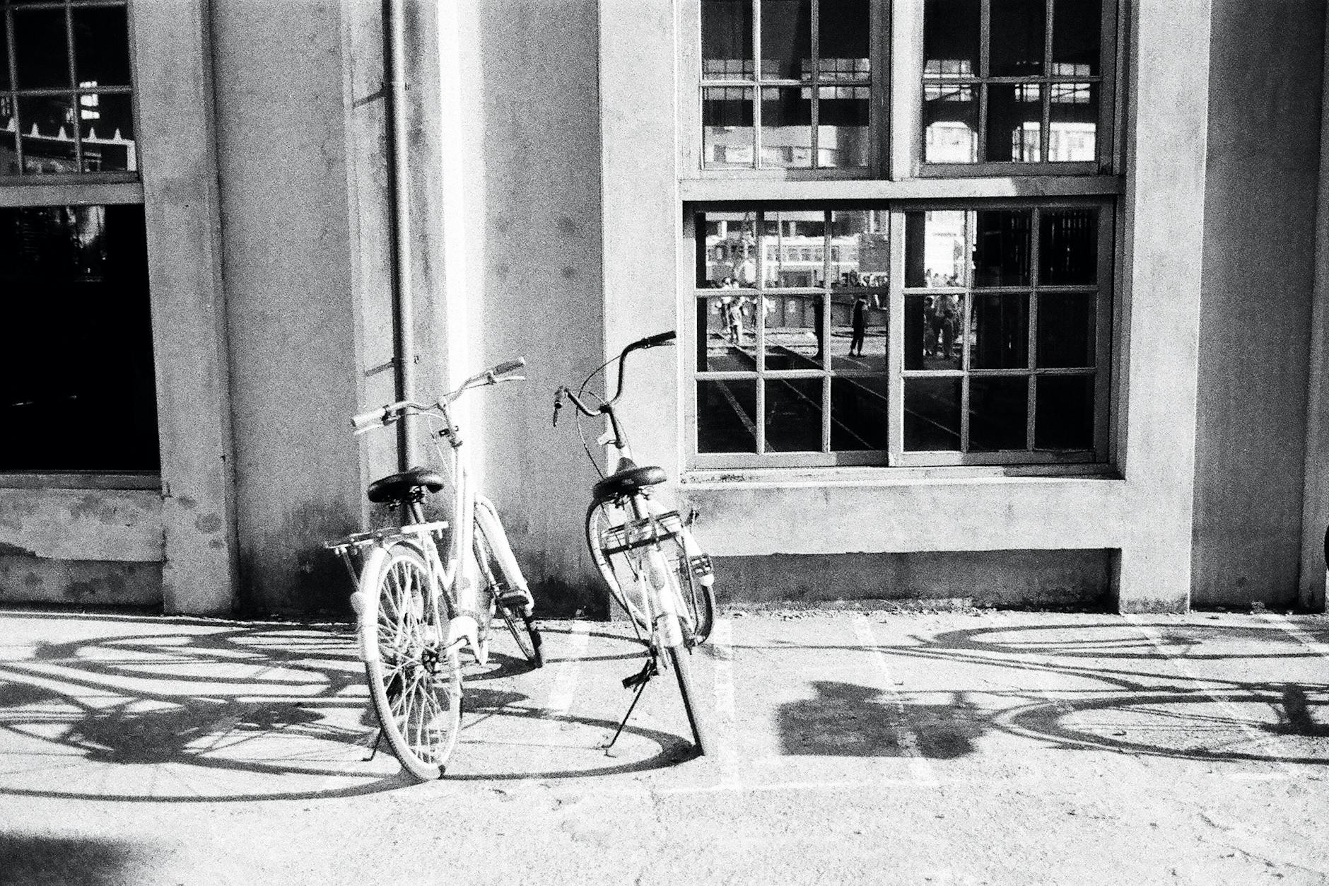 Black and white photo of classic bicycles against a window façade.