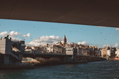 Imagine de stoc gratuită din clădiri, curcan, Istanbul