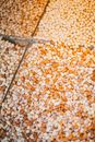 Brown and White Ceramic Tiles