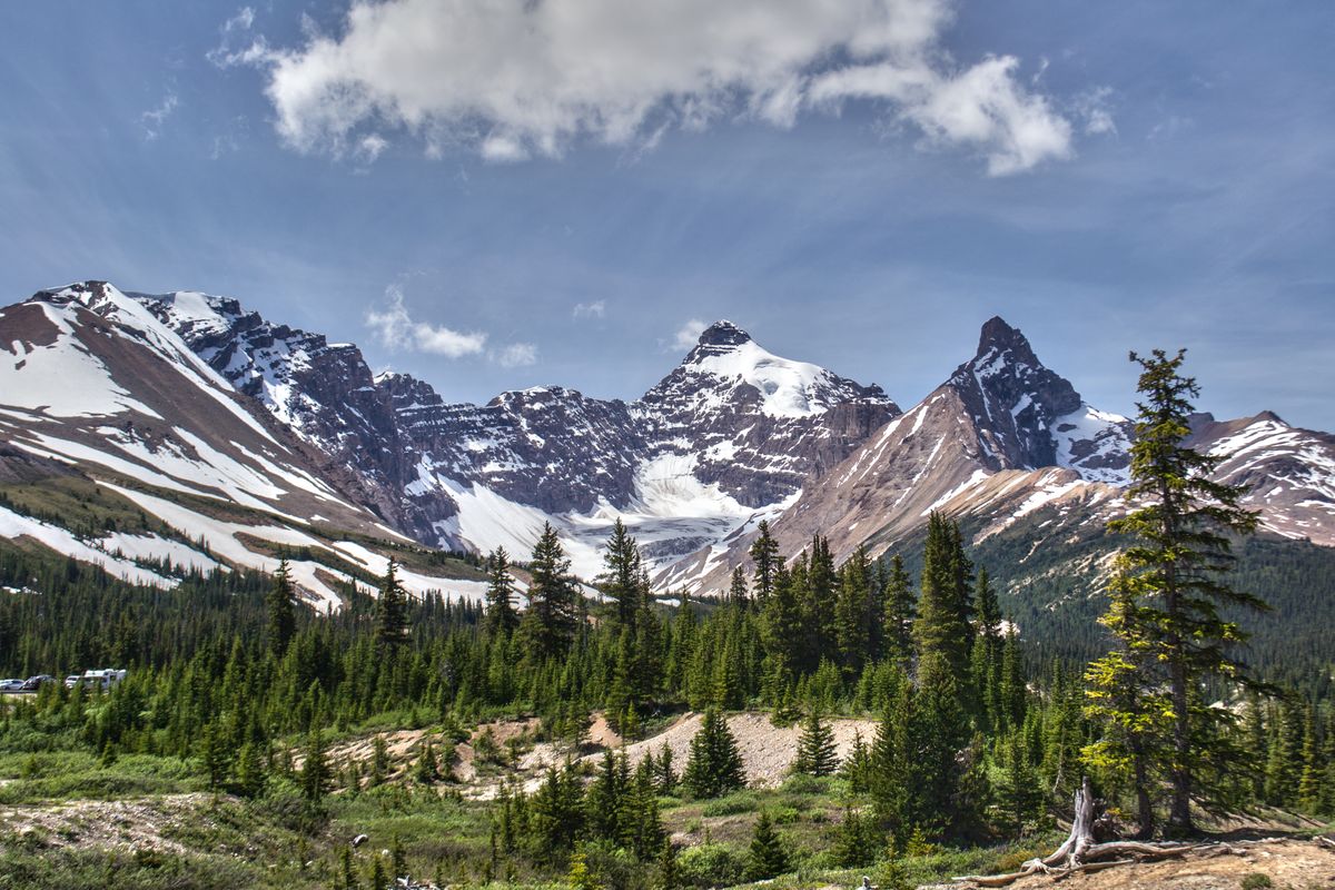 Snow-capped Canadian Rocky Mountains above a pine forest in Alberta