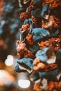 Brown and Black Dried Leaves