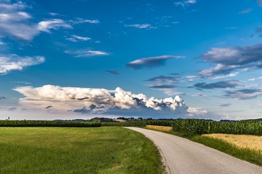 蔚蓝的夏日天空下，道路、玉米地和云层构成了一幅美丽的乡村景观