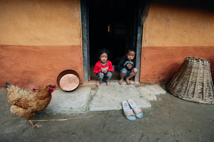 Poor Ethnic Siblings Near Old Building And Walking Hen