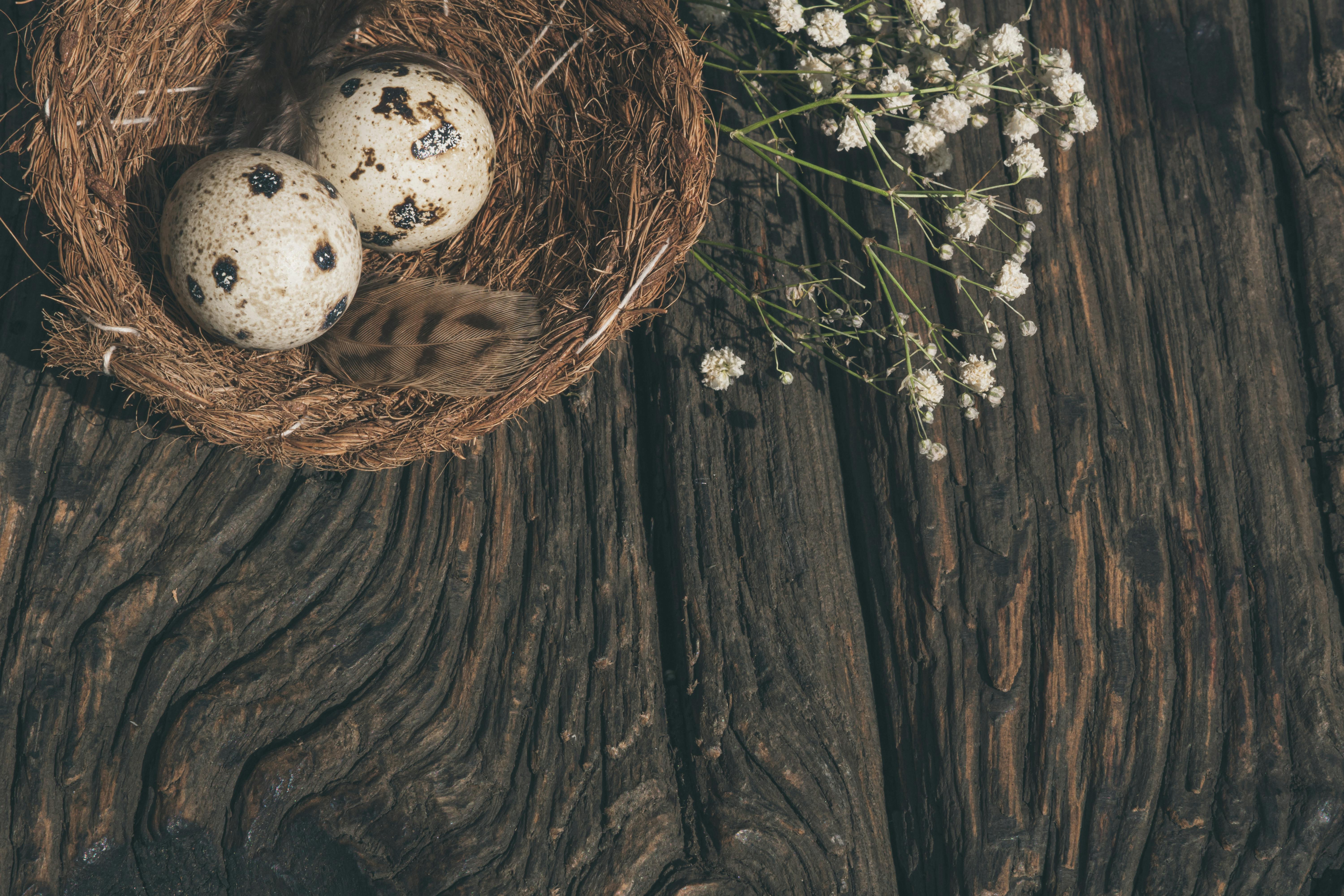 Mysterious Patterns in Nature That Boost Consciousness