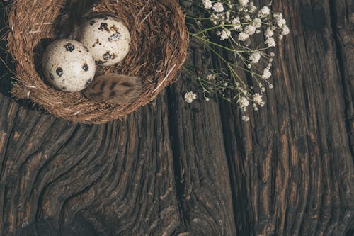 Základová fotografie zdarma na téma bílé květy, dřevěný povrch, dřevo obilí