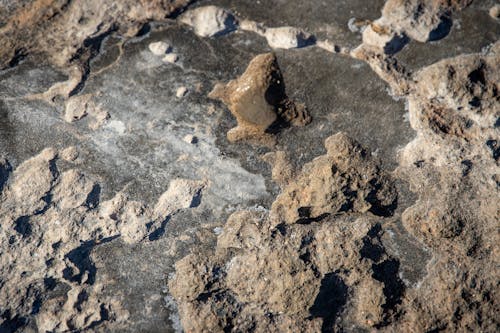 乾的, 地面, 岩石 的 免费素材图片