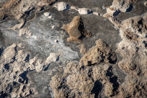 Free Detailed close-up of a rocky texture surface with natural earthy tones and rough texture. Stock Photo