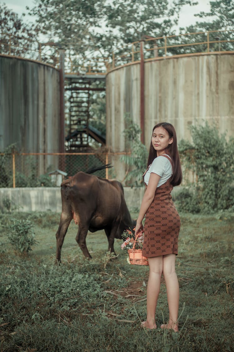 Young Woman Grazing Bull In Village