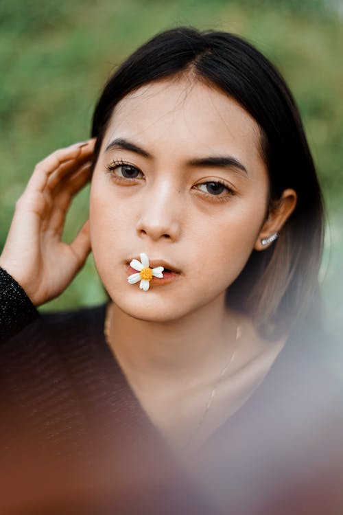 Free Contemplative Asian woman with chamomile in mouth Stock Photo