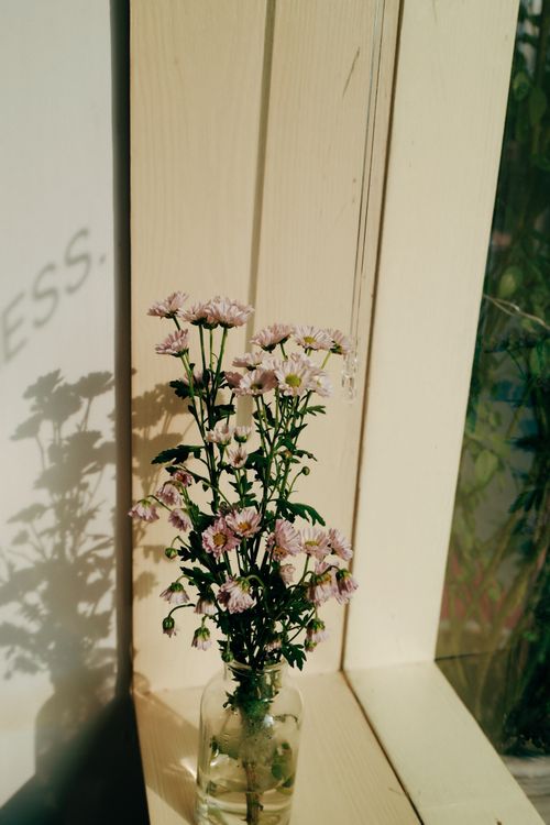 Free Charming pink flowers in a glass vase on a sunny windowsill, creating a serene indoor scene. Stock Photo