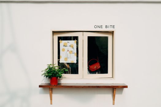 Plant on a Red Pot on a Shelf by a Window