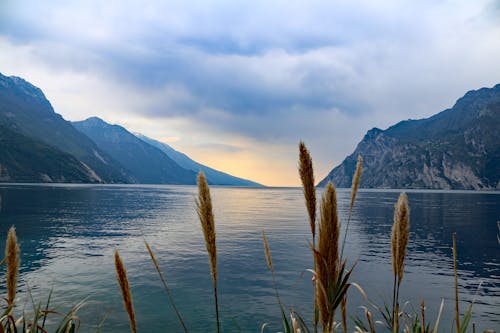 Photo of Lake Under Clouds