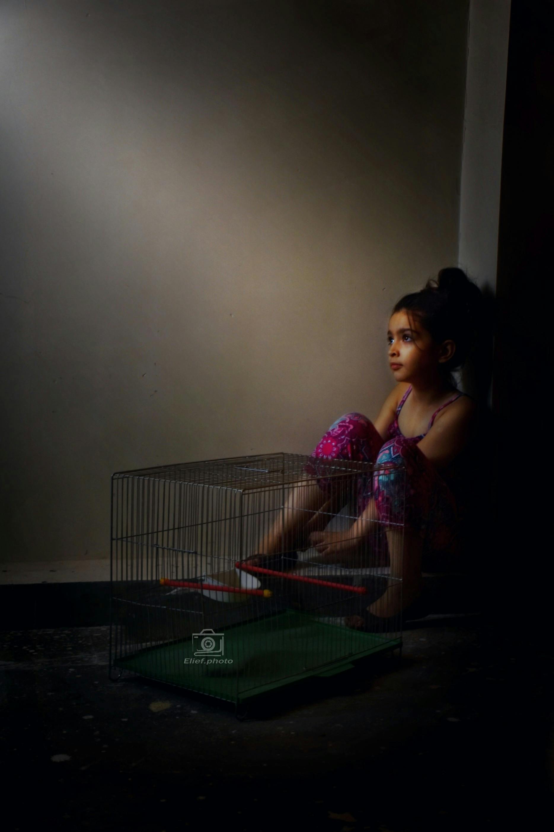 观叶盆栽图片大全图片-第4张图片-吾爱花网