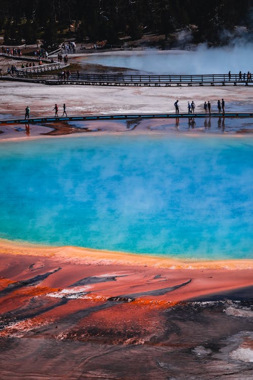 People Walking Around the Boardwalk of the Grand  Prismatic Spring  