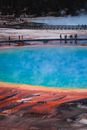People Walking Around the Boardwalk of the Grand  Prismatic Spring
