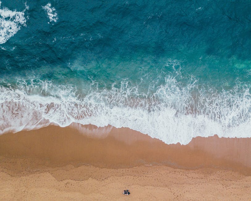 beach, foam, landscape