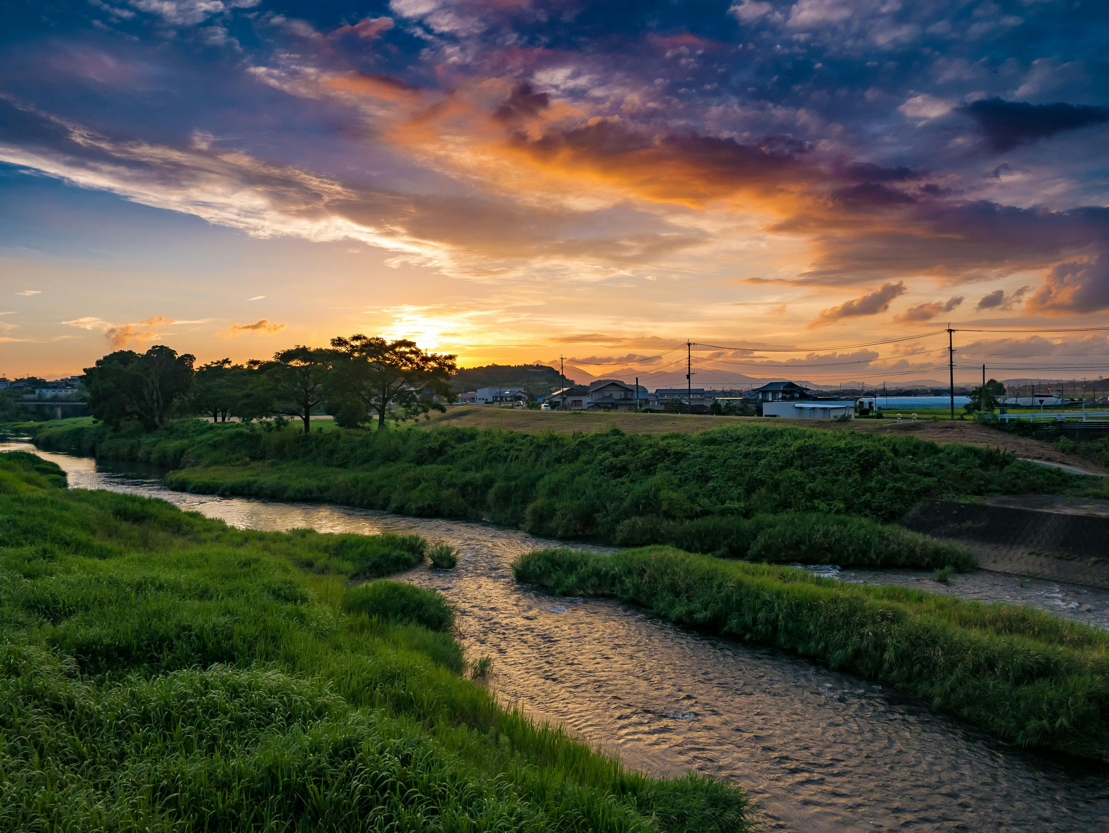 Body of Water Near Plants